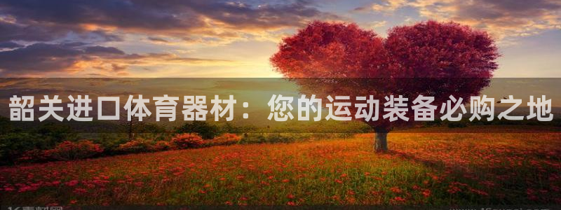 尊龙集团有限公司是国企吗：韶关进口体育器材：您的运动