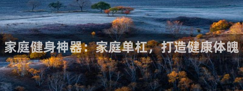 尊龙凯时输钱的原因：家庭健身神器：家庭单杠，打造健康
