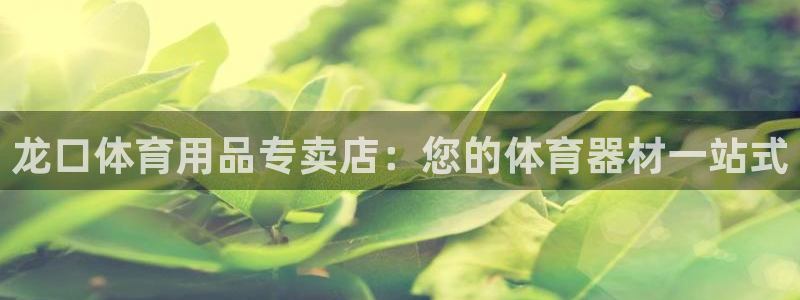 尊龙现金：龙口体育用品专卖店：您的体育器材一站式