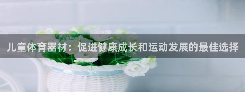 Z6尊龙凯时官方：儿童体育器材：促进健康成长和运动发