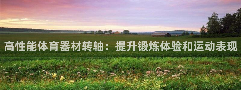 尊龙人生就是博菲律宾台子：高性能体育器材转轴：提升锻