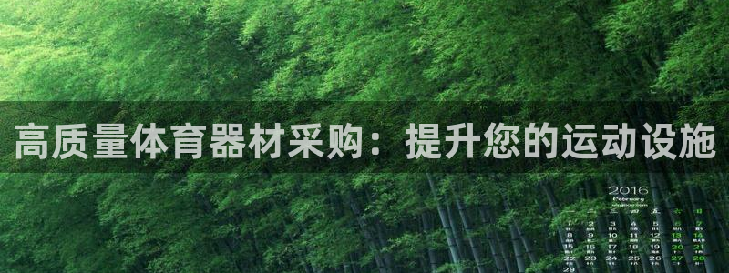 尊龙D88现金旧版：高质量体育器材采购：提升您的运动