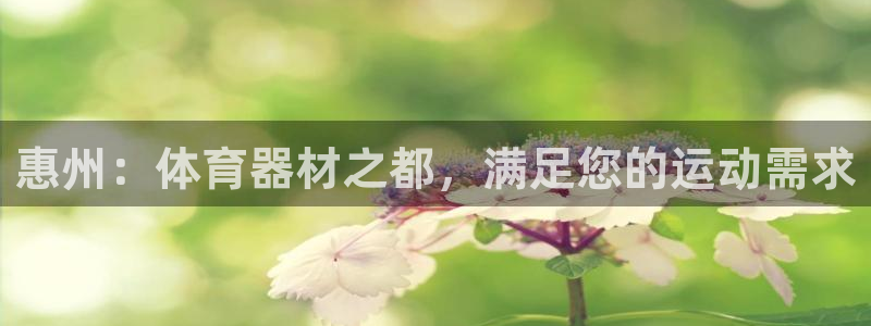 尊龙凯时和九游会哪个平台好一点：惠州：体育器材之都，