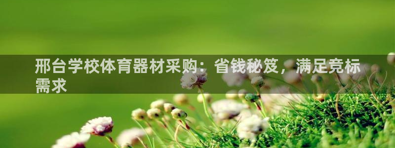 尊龙下载推荐网站：邢台学校体育器材采购：省钱秘笈，满