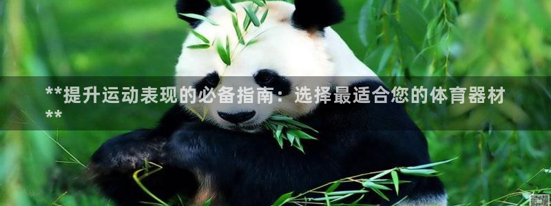 凯时官网手机版首页：**提升运动表现的必备指南：选择