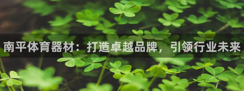 尊龙165：南平体育器材：打造卓越品牌，引领行业未来