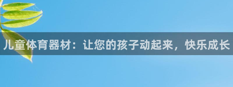 尊龙新版官网网页版：儿童体育器材：让您的孩子动起来，