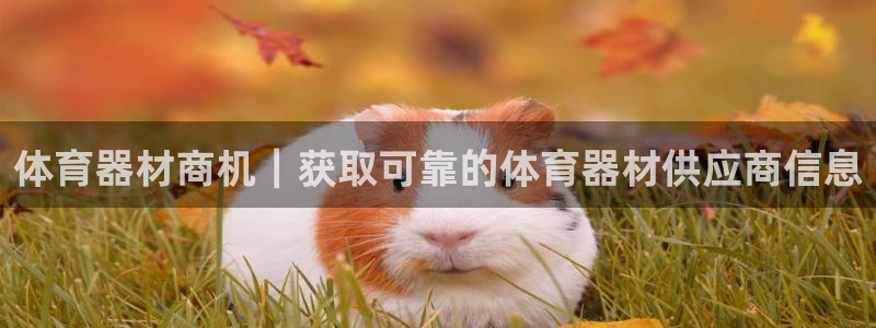 尊龙最近一次露面：体育器材商机｜获取可靠的体育器材供