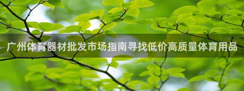 KB88凯时官网登录：广州体育器材批发市场指南寻找低