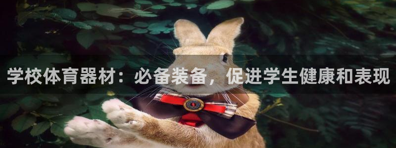 尊龙凯时 - 人生就是搏!提款怎么样：学校体育器材：