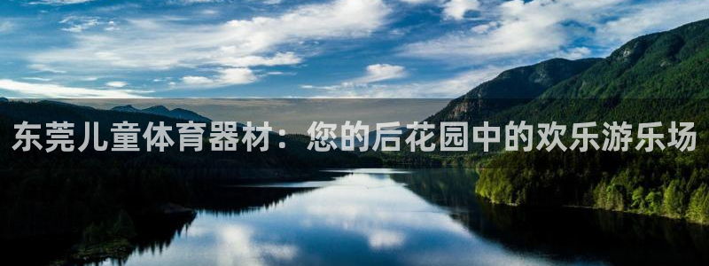 凯时在线平台官网：东莞儿童体育器材：您的后花园中的欢