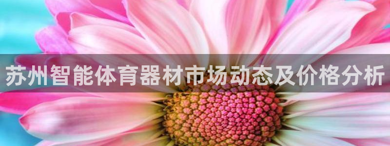 尊龙现金娱乐 下载：苏州智能体育器材市场动态及价格分