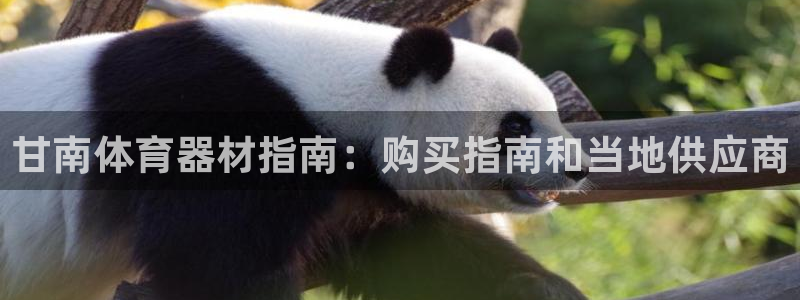 尊龙凯时人生就是搏包装优势：甘南体育器材指南：购买指