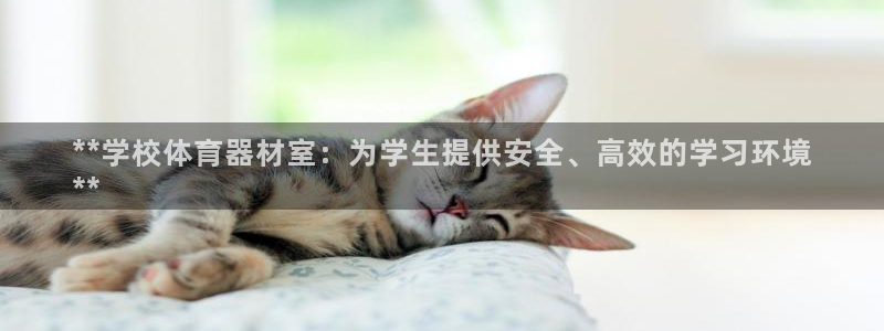 尊龙凯时导航菜单首页：**学校体育器材室：为学生提供