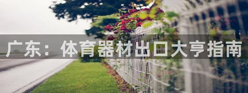 尊龙2021年最新消息：广东：体育器材出口大亨指南