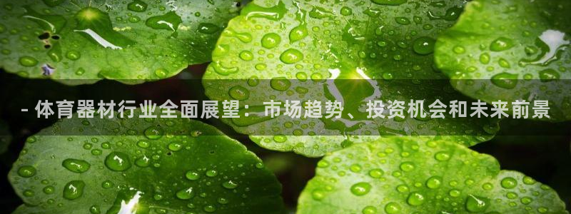 尊龙t400和尊龙t300区别：- 体育器材行业全面