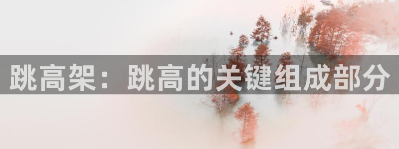 尊龙凯时返现：跳高架：跳高的关键组成部分