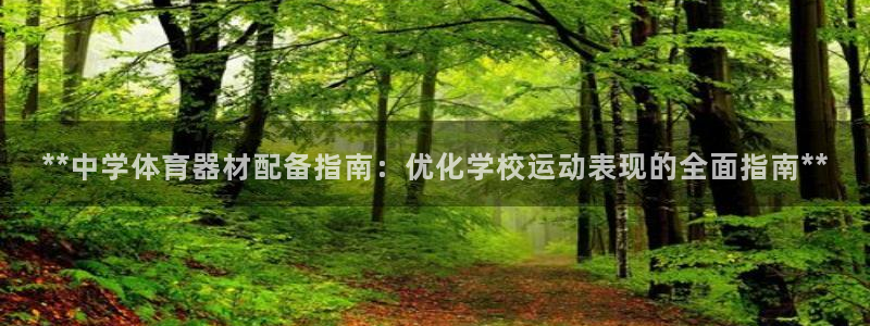 尊龙凯时vip：**中学体育器材配备指南：优化学校运
