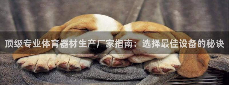 z6尊龙凯时旗：顶级专业体育器材生产厂家指南：选择最