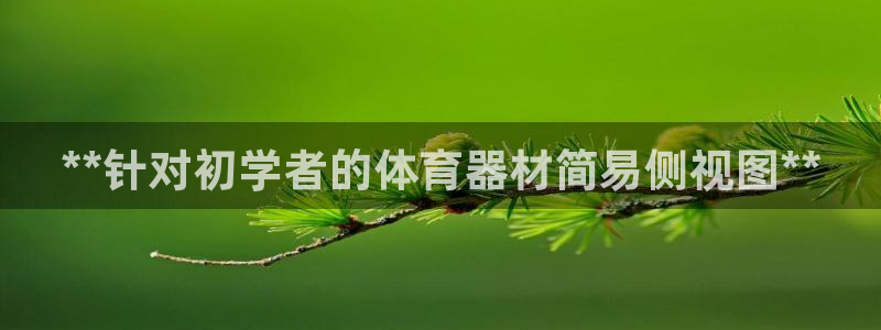 尊龙d88会员：**针对初学者的体育器材简易侧视图*