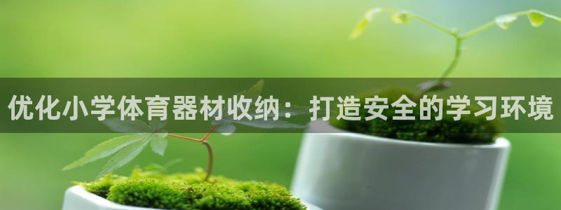 凯时尊龙app国际官方网站：优化小学体育器材收纳：打造安全的