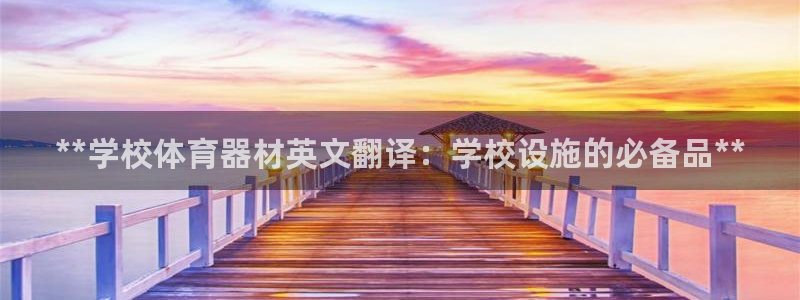 尊龙凯时百万奖池：**学校体育器材英文翻译：学校设施