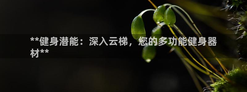 尊龙ag旗舰厅官网·(中国)官方入口：**健身潜能：