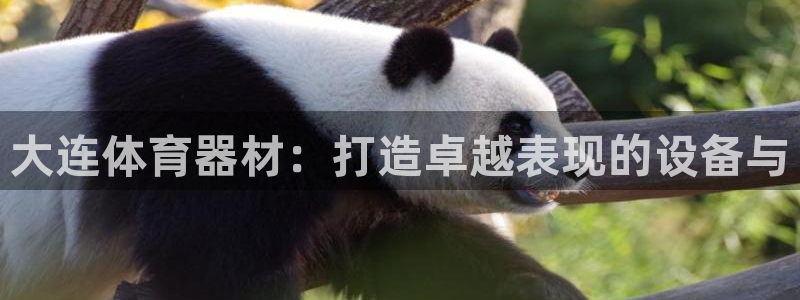 尊龙凯时电竞：大连体育器材：打造卓越表现的设备与