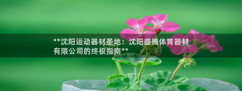 尊龙软件下载：**沈阳运动器材圣地：沈阳盛腾体育器材