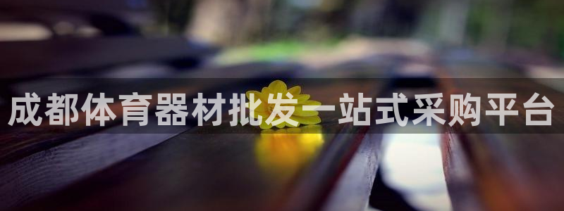尊龙凯时app官方网站：成都体育器材批发一站式采购平
