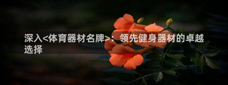 尊龙凯时导航菜单首页：深入<体育器材名牌>：领先健身