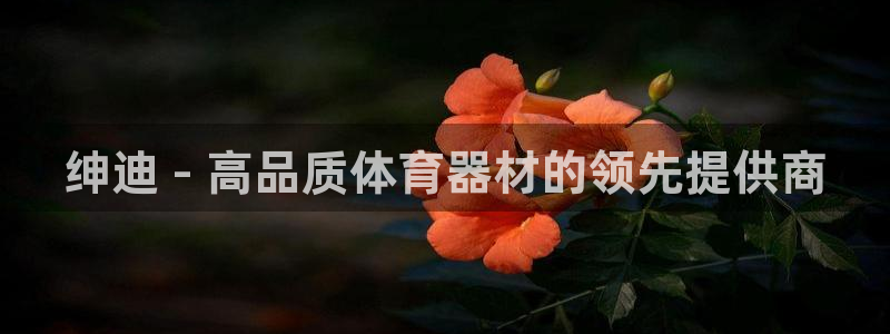 尊龙凯时logo：绅迪 - 高品质体育器材的领先提供