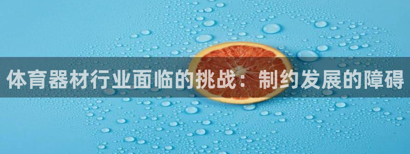 尊龙d88用现推选ag发财网：体育器材行业面临的挑战