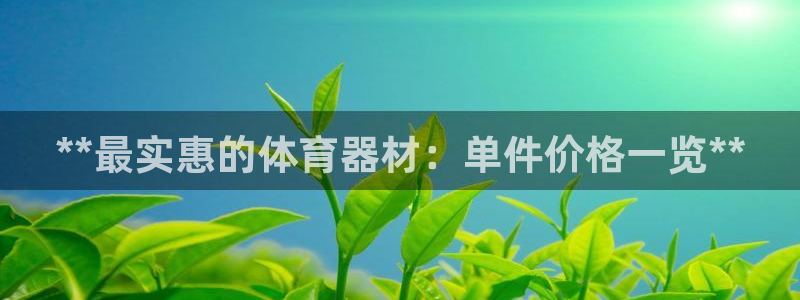 尊龙app怎么样：**最实惠的体育器材：单件价格一览