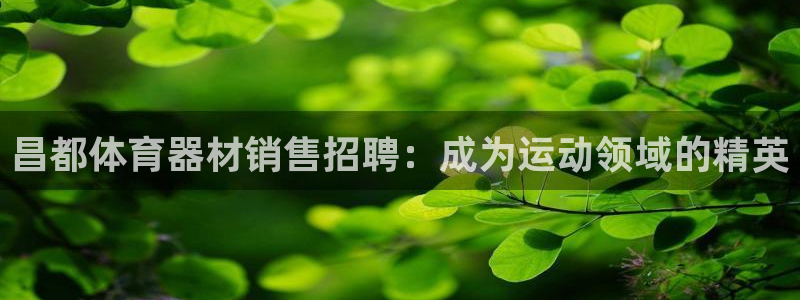 凯时app官网首页：昌都体育器材销售招聘：成为运动领