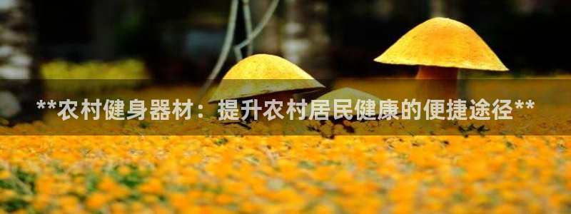 尊龙目前在哪：**农村健身器材：提升农村居民健康的便