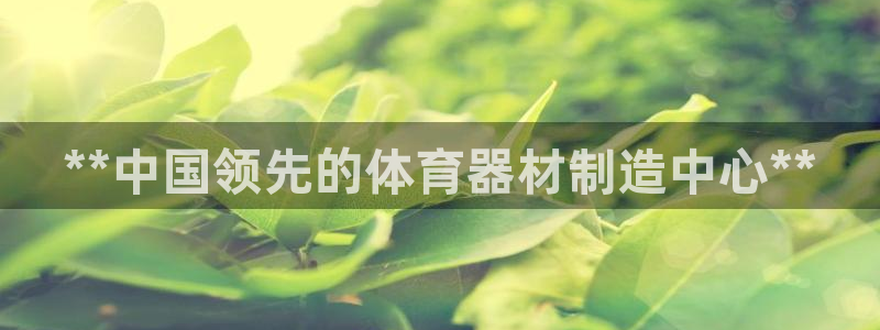 尊龙会：**中国领先的体育器材制造中心**