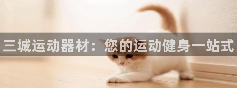 尊龙凯时网站赌愽是真的吗：三城运动器材：您的运动健身