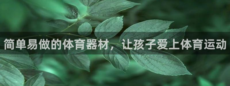 尊龙z6官网ag：简单易做的体育器材，让孩子爱上体育