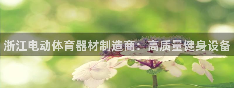 尊龙凯时百万奖池：浙江电动体育器材制造商：高质量健身