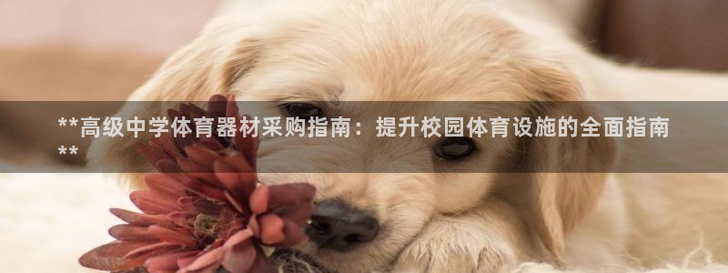 尊龙400：**高级中学体育器材采购指南：提升校园体
