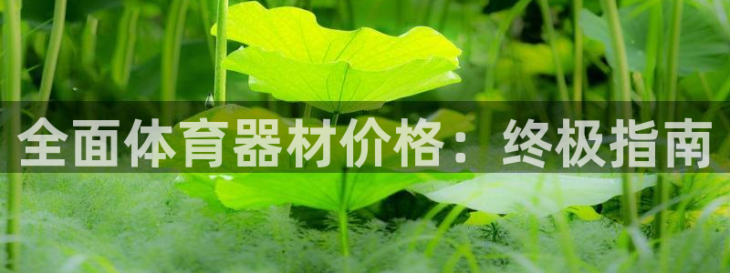 尊龙网站 人生就是博：全面体育器材价格：终极指南