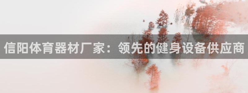 尊龙凯时只输不赢：信阳体育器材厂家：领先的健身设备供