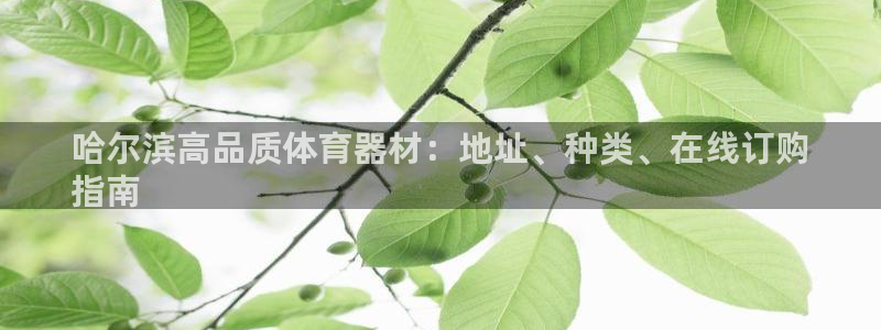 尊龙凯时平台信誉怎样：哈尔滨高品质体育器材：地址、种