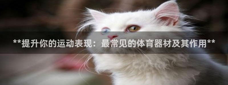 尊龙凯时能提现吗：**提升你的运动表现：最常见的体育