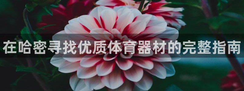 尊龙凯时人生就博官网登录：在哈密寻找优质体育器材的完