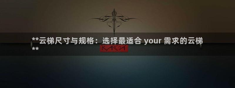 尊龙凯时输了100万：**云梯尺寸与规格：选择最适合