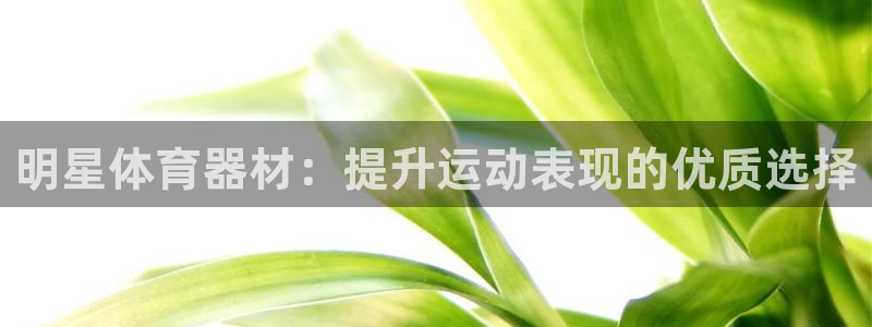 ZL尊龙凯时集团：明星体育器材：提升运动表现的优质选