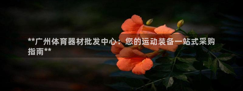 尊龙官网网站：**广州体育器材批发中心：您的运动装备