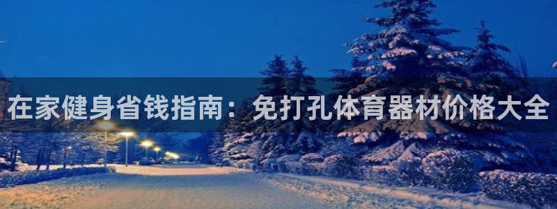尊龙d88手机版下载：在家健身省钱指南：免打孔体育器